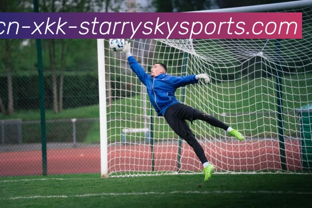 星空体育发展历程